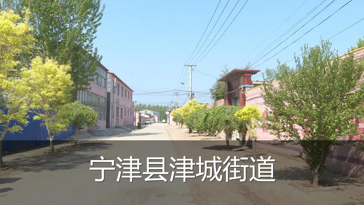 宁津县津城街道