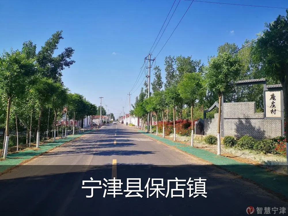 宁津县保店镇